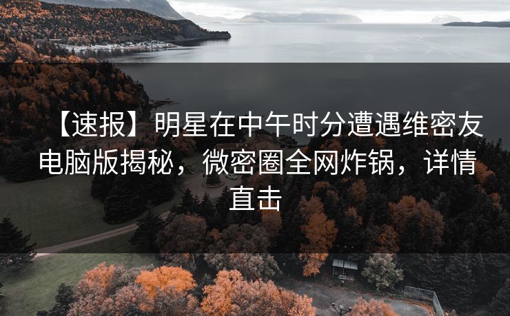 【速报】明星在中午时分遭遇维密友电脑版揭秘，微密圈全网炸锅，详情直击
