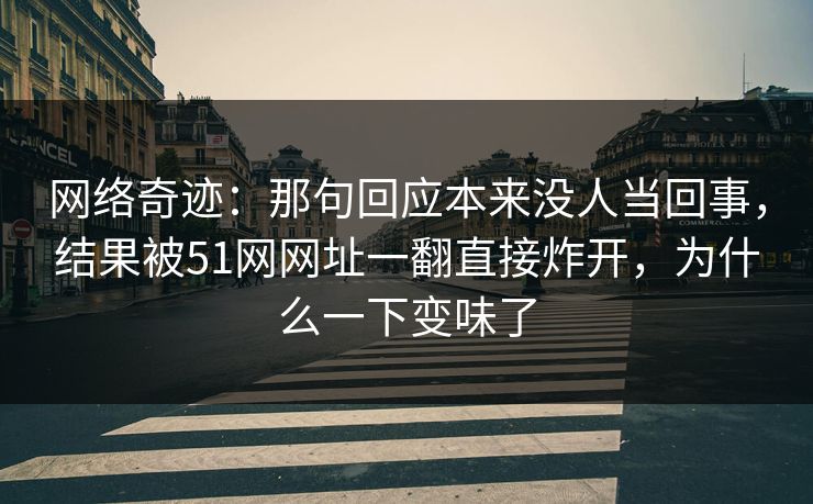 网络奇迹：那句回应本来没人当回事，结果被51网网址一翻直接炸开，为什么一下变味了